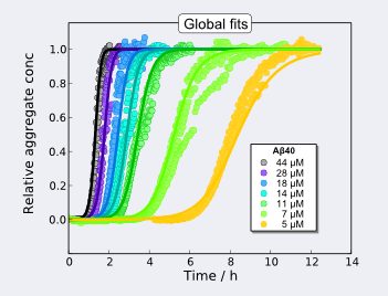 Amortized Global Fitting