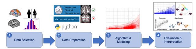 Developing normative models of brain neurotransmitters.